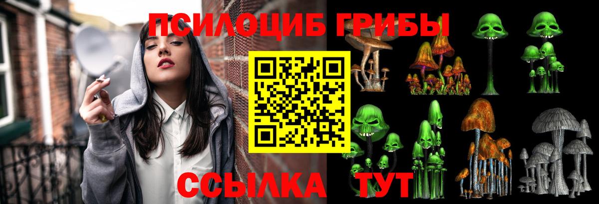 Псилоцибиновые грибы мухоморы  Вход с VPN  купить закладку  Свободный 
