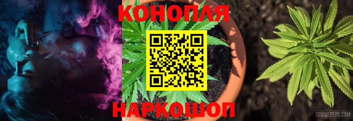 Бошки Шишки семена Свободный